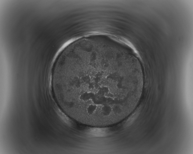 X0000085081179200703121657