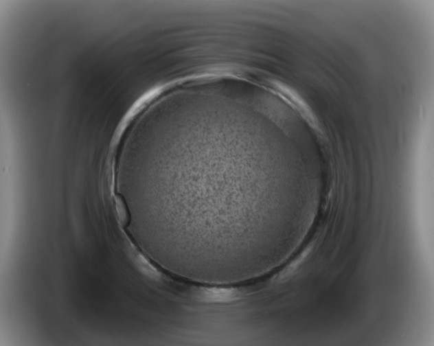 X0000085081180200703121657