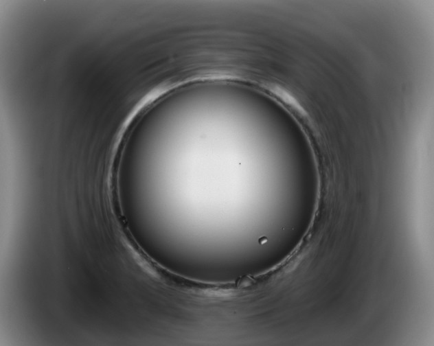 X0000085081181200703121657