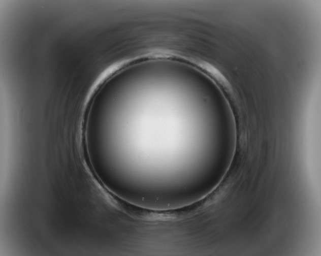 X0000085081183200703121657