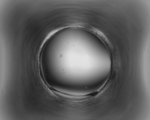 X0000085081184200703121657