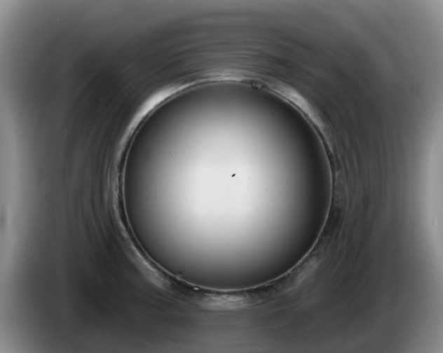 X0000085081187200703121656