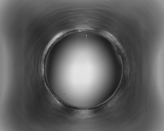 X0000085081188200703121656