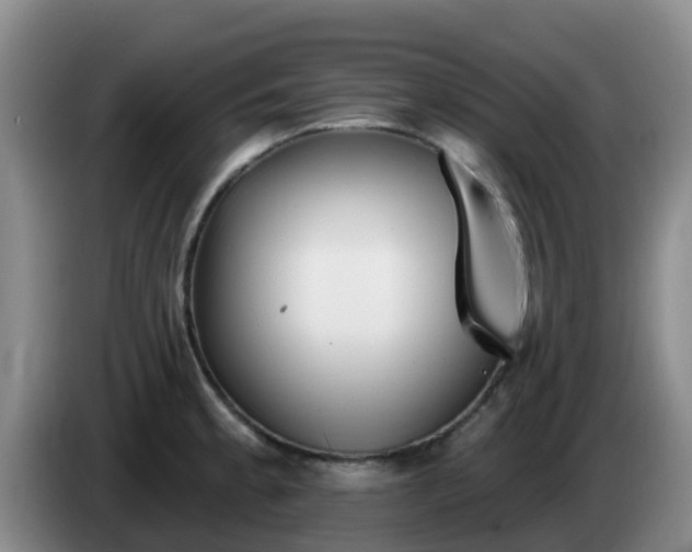 X0000085081189200703121656