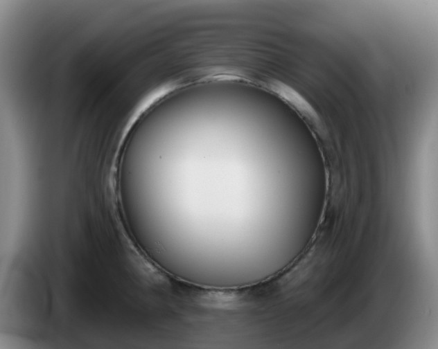 X0000085081190200703121656