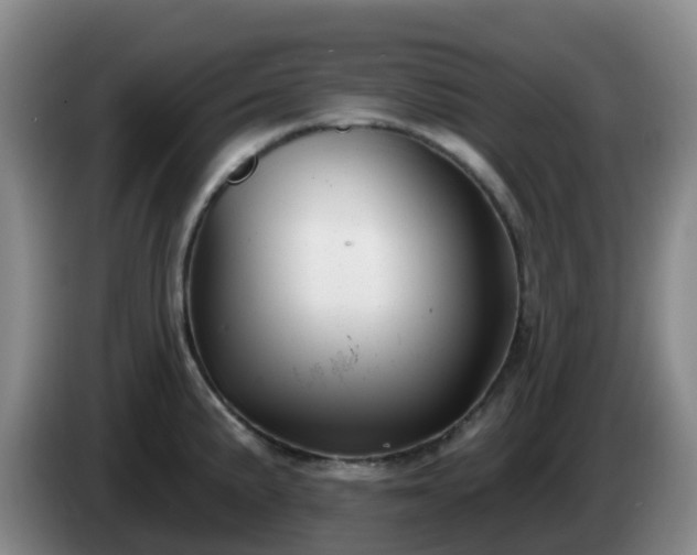 X0000085081191200703121656