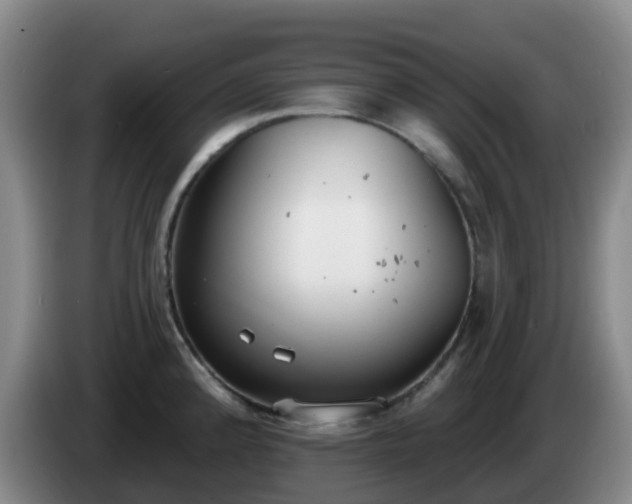 X0000085081192200703121656