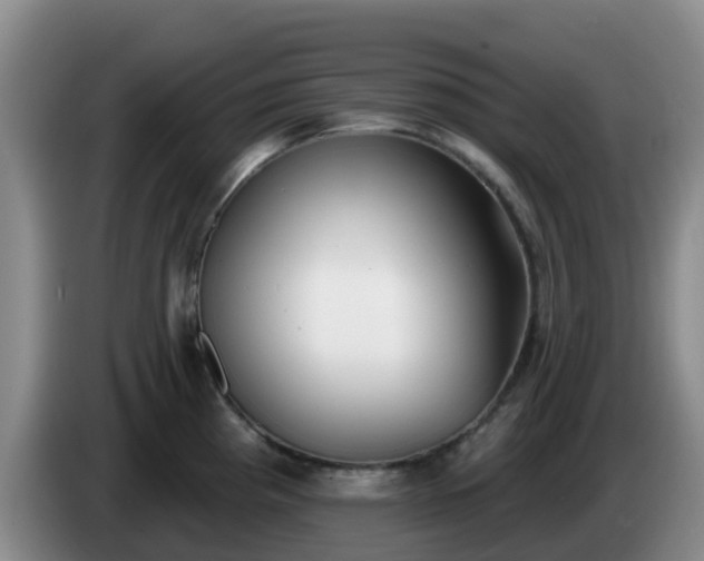 X0000085081193200703121656