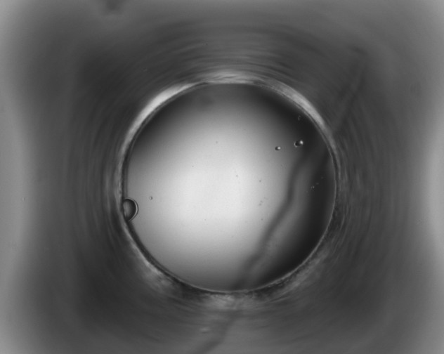 X0000085081195200703121656