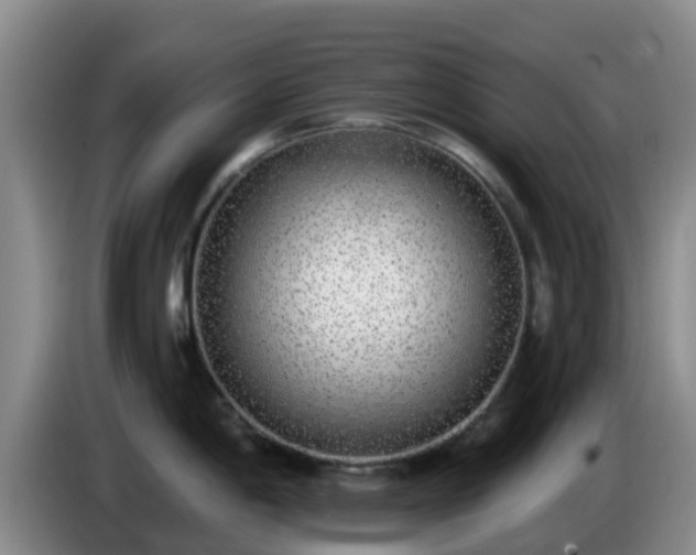 X0000085081198200703121656