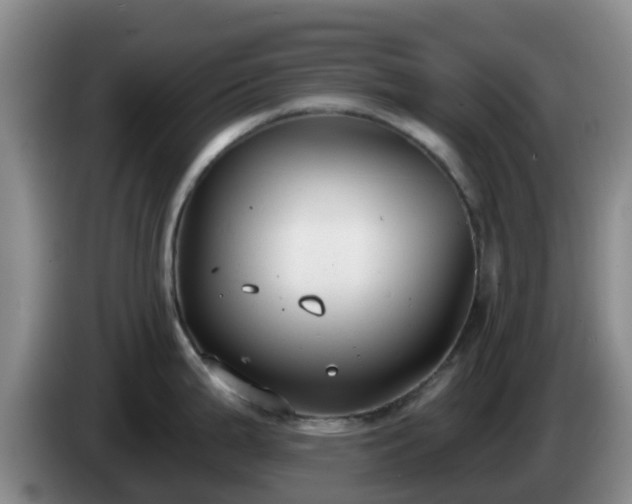 X0000085081199200703121656