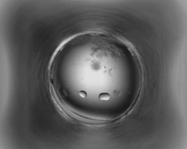 X0000085081200200703121656