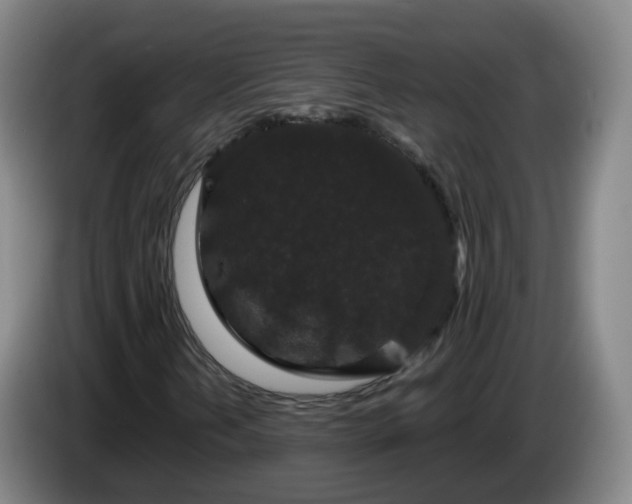 X0000085081202200703121656