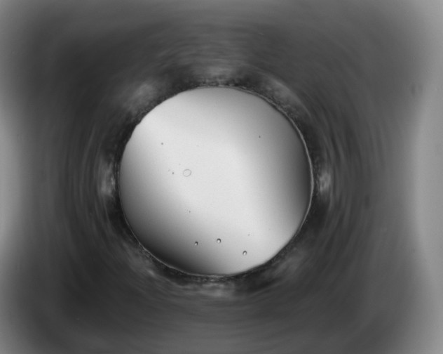 X0000085081204200703121656