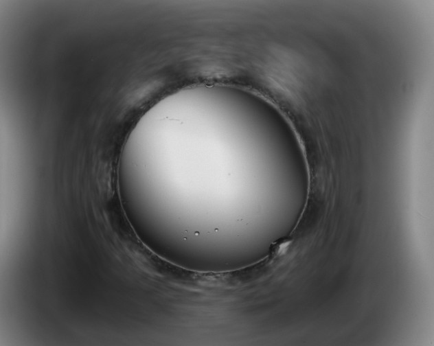 X0000085081205200703121656