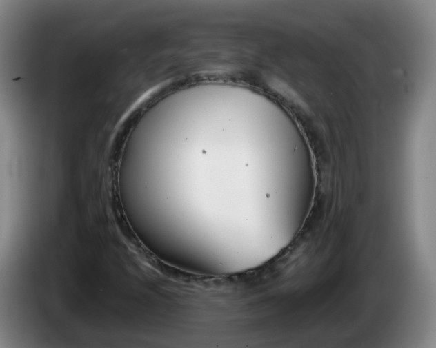 X0000085081208200703121656