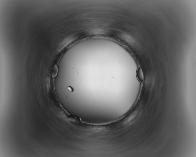 X0000085081209200703121656