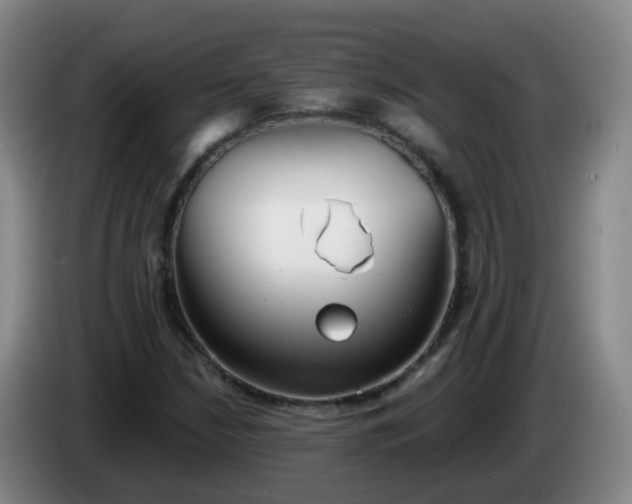 X0000085081210200703121656