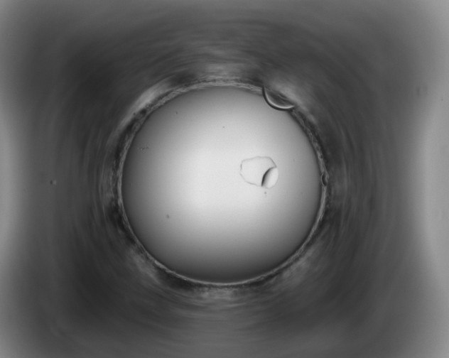 X0000085081211200703121656