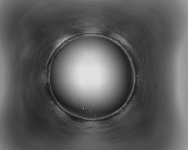 X0000085081212200703121656