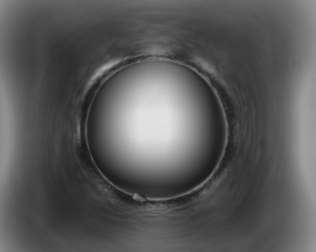 X0000085081214200703121656