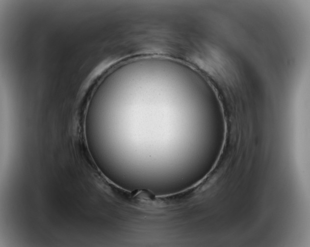 X0000085081215200703121656