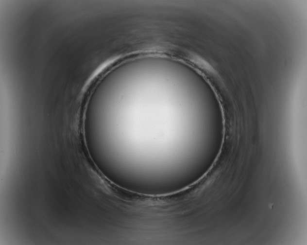 X0000085081216200703121656