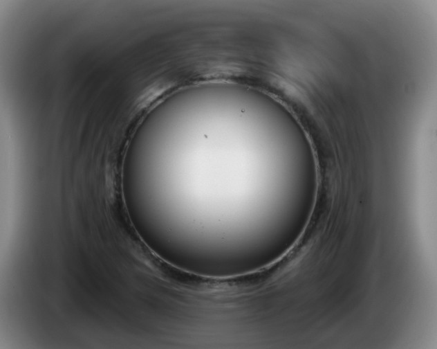 X0000085081217200703121656