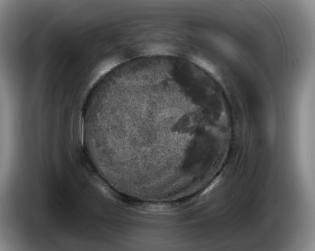 X0000085081219200703121656