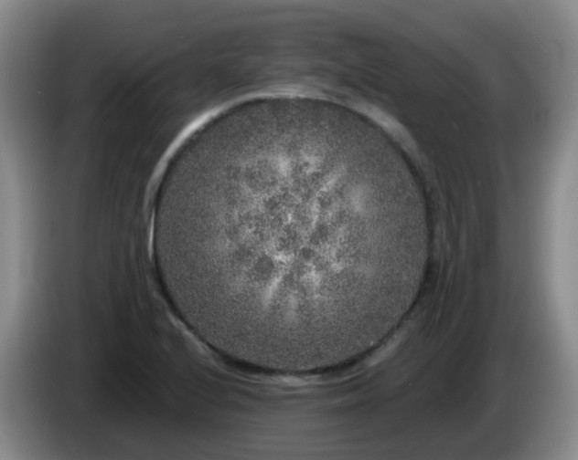 X0000085081224200703121656