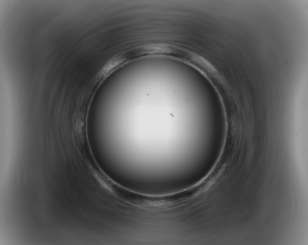 X0000085081225200703121656