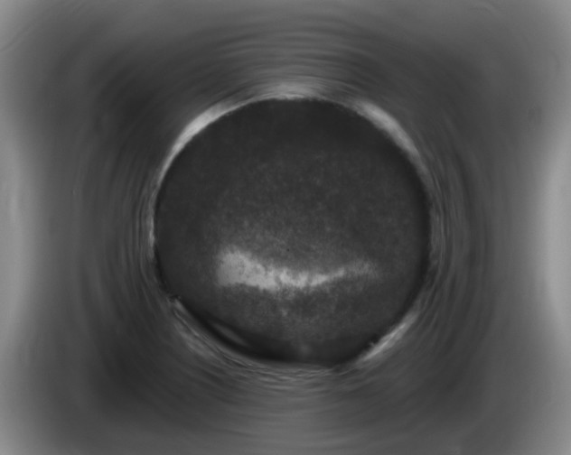 X0000085081226200703121656