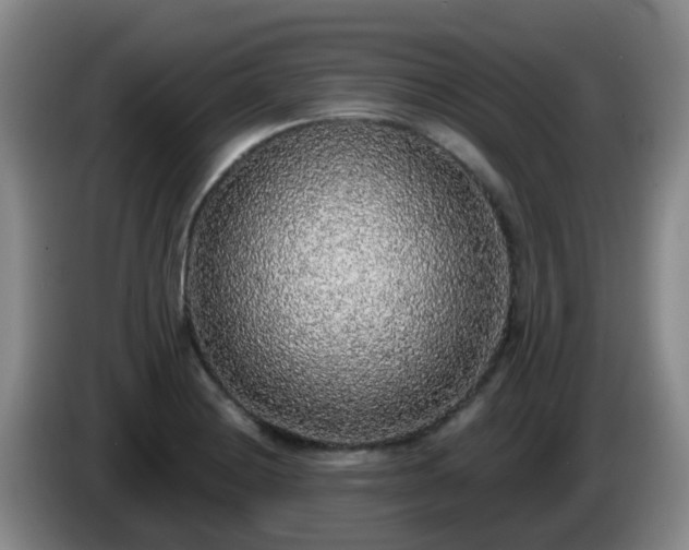 X0000085081228200703121656