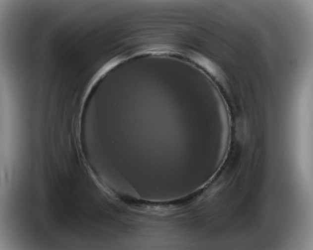 X0000085081229200703121656