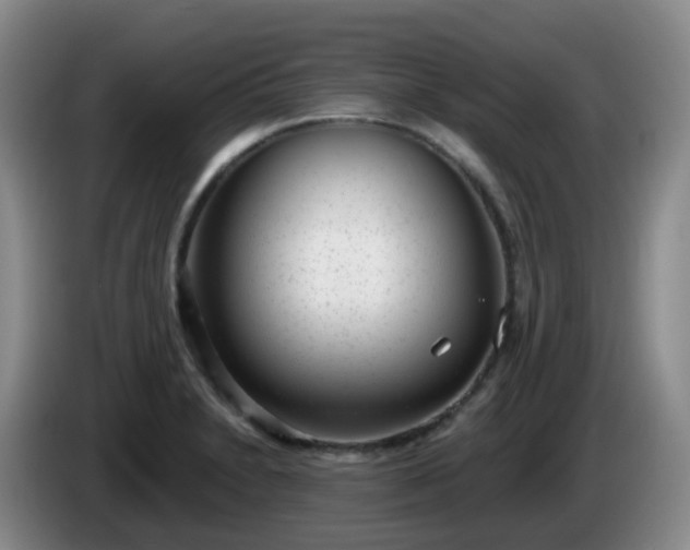 X0000085081230200703121656