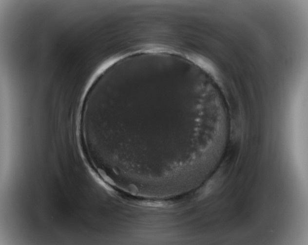 X0000085081231200703121656