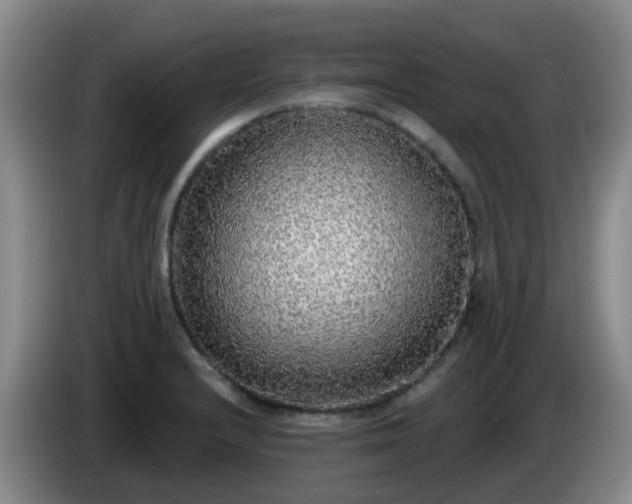 X0000085081232200703121656