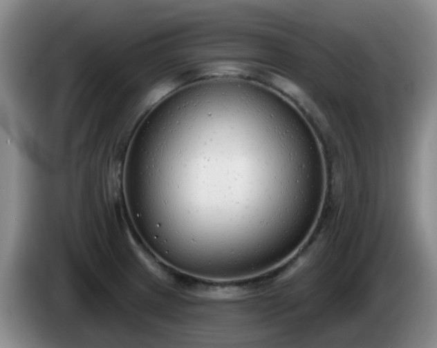 X0000085081233200703121656