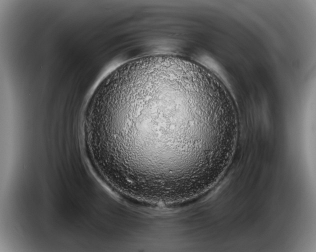 X0000085081235200703121656