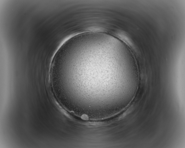 X0000085081236200703121656