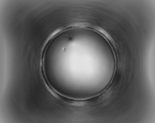 X0000085081237200703121656