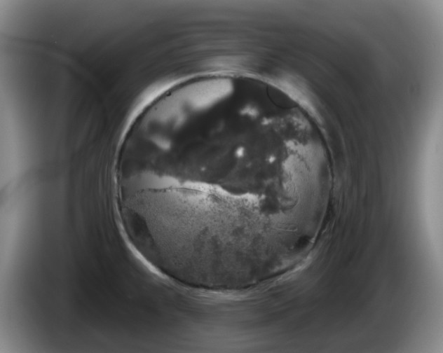 X0000085081239200703121656