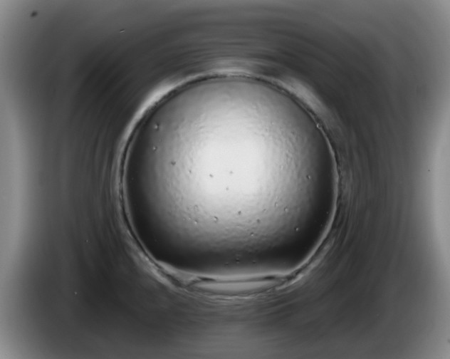 X0000085081240200703121656