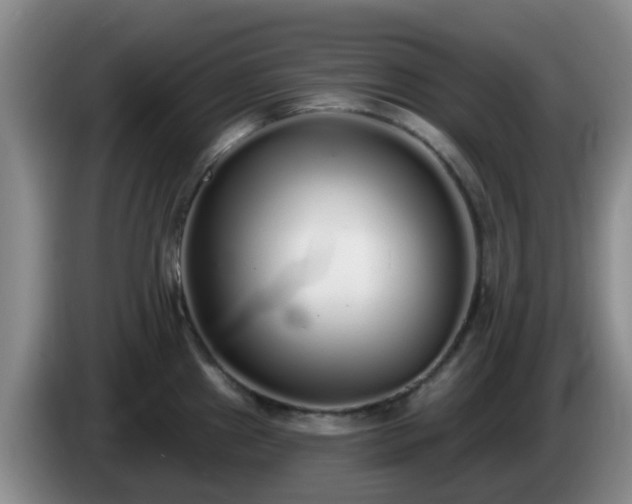 X0000085081241200703121656