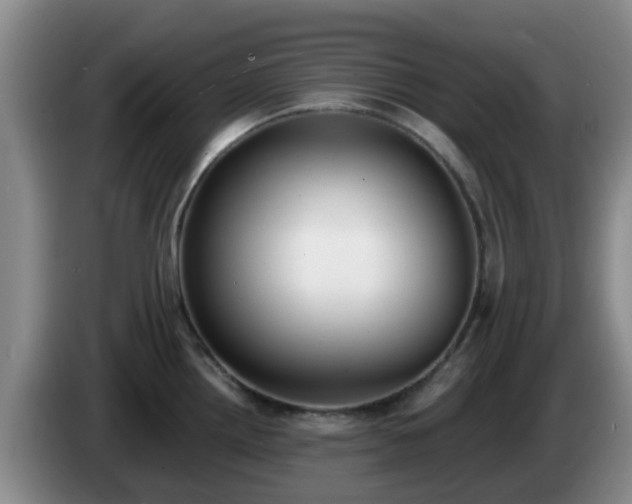 X0000085081242200703121656