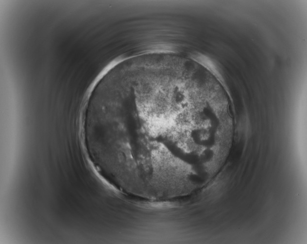 X0000085081243200703121656