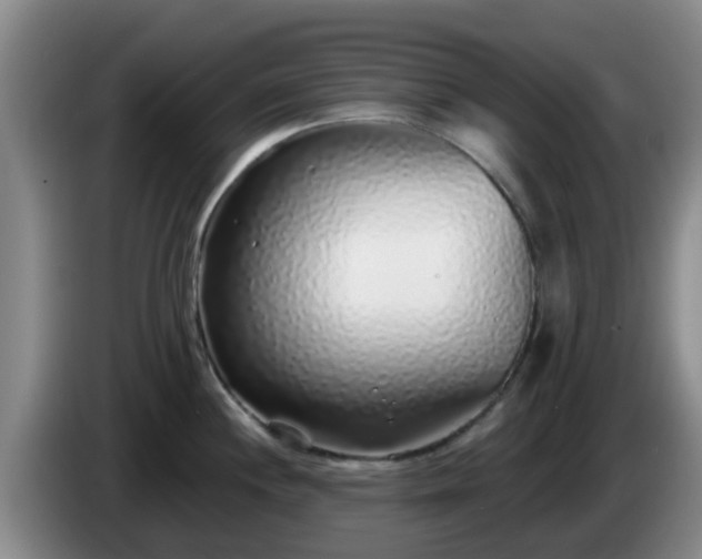 X0000085081244200703121656