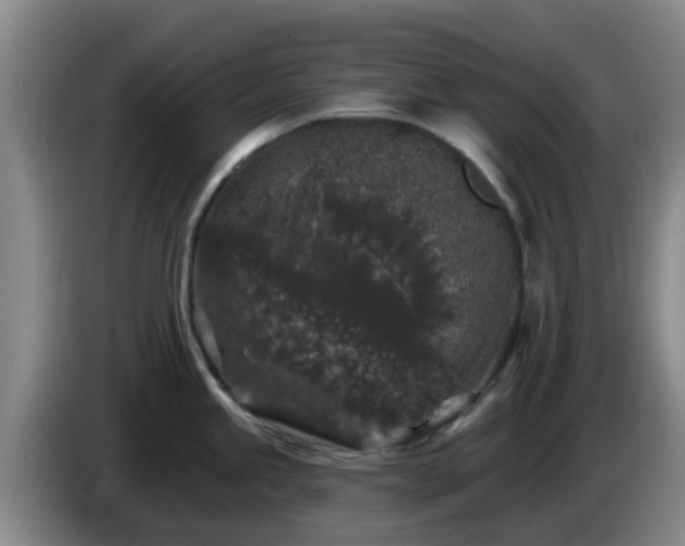 X0000085081245200703121656