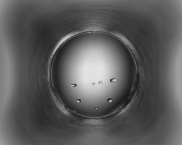 X0000085081246200703121656