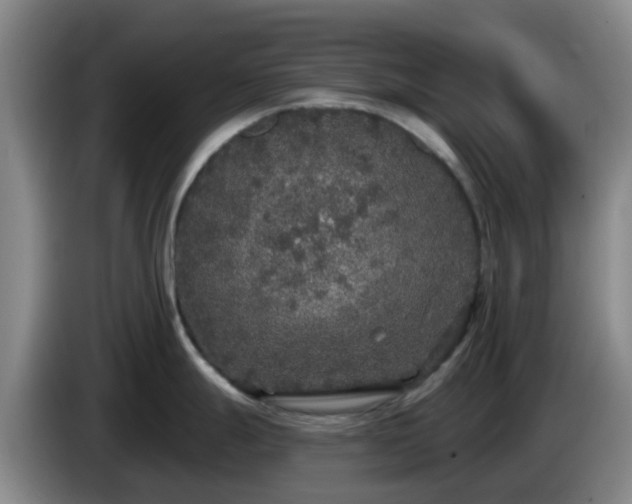 X0000085081247200703121656